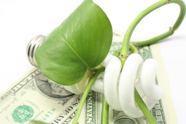 Tips for Going Green and Saving Money