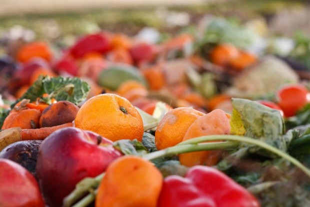 New Jersey Begins Managing Food Waste