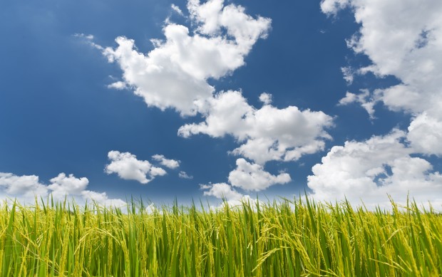 The Benefits of Daylighting