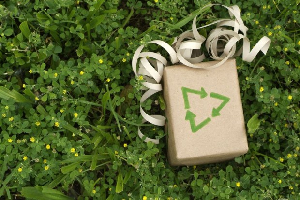 Green Gifts for Dad